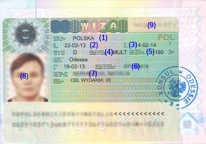 как выглядит польская рабочая виза фото
