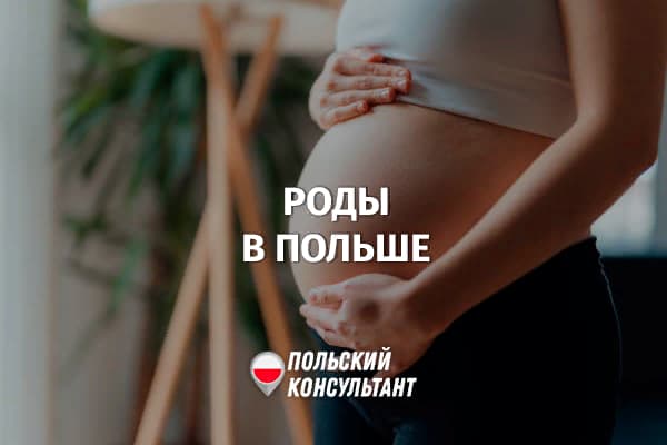 Как бесплатно родить ребенка в Польше и сколько стоят платные услуги? 21