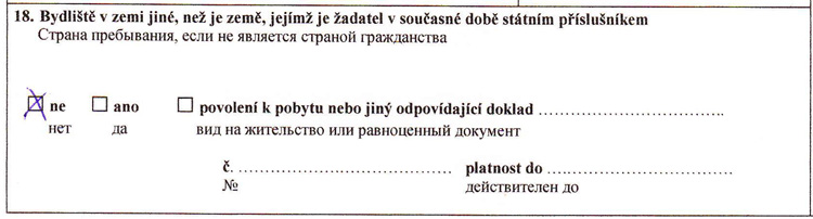 Пример заполнения анкеты на шенгенскую визу в Чехию 7