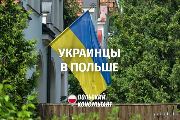 украинские заробитчане в Польше