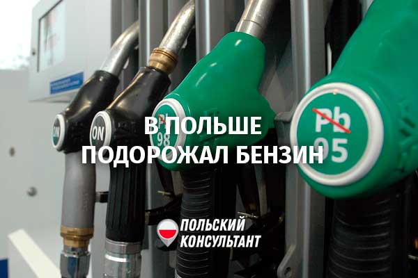 Резкий скачек цен на топливо в Польше: ожидать ли дальнейшего роста? 48