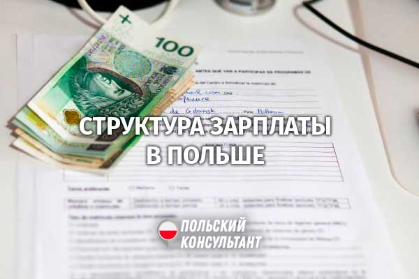 Składniki wynagrodzenia – составляющие заработной платы в Польше 19