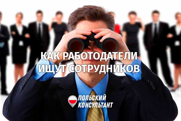 Как польские работодатели ищут работников из Украины и Беларуси