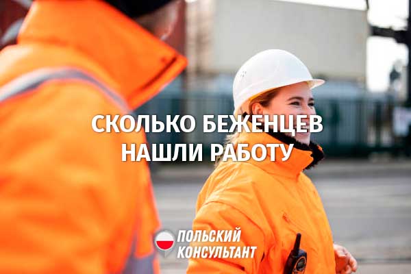 Сколько украинских беженцев нашли работу в Польше? 77