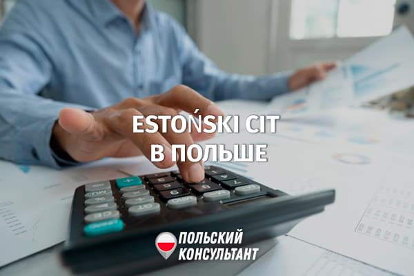 Estoński CIT 2.0: передовая система налогообложения в Польше 22