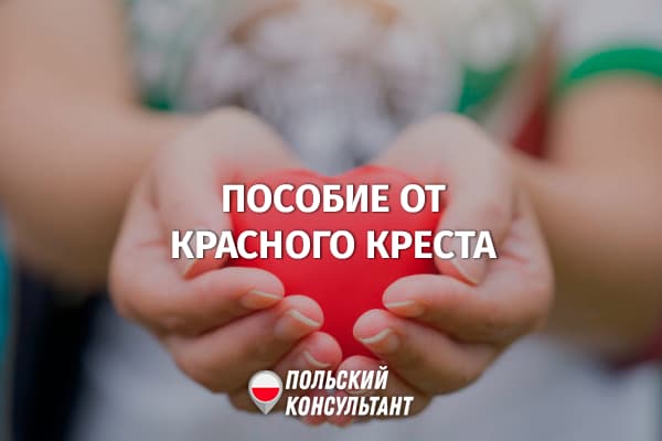 Как получить помощь от Красного креста в Польше? 25