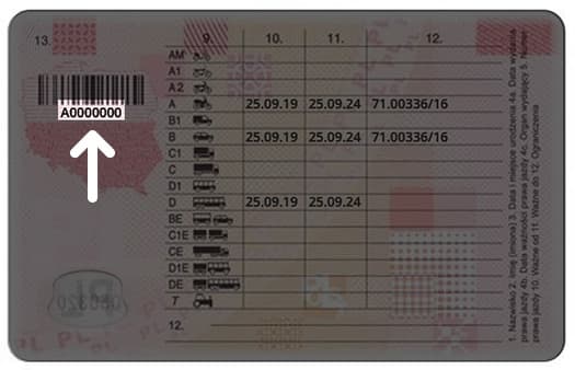 Надо ли иметь при себе водительское удостоверение в Польше? 6