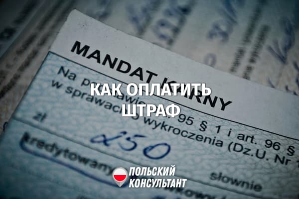 Как оплатить административный штраф в Польше? 21