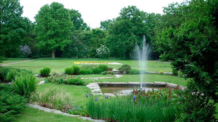 Ботанический сад в Познани