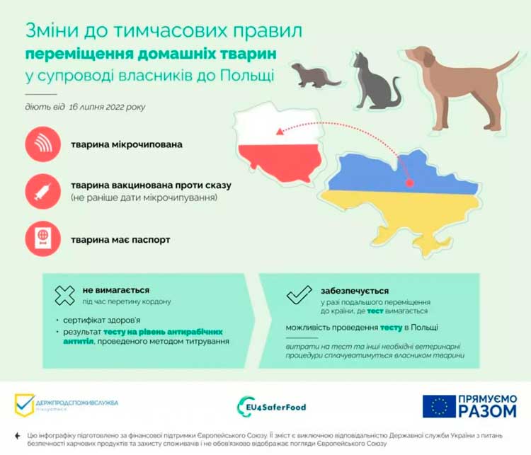 Упрощение условий ввоза собак и кошек в Польшу с 25 июля 2022 года