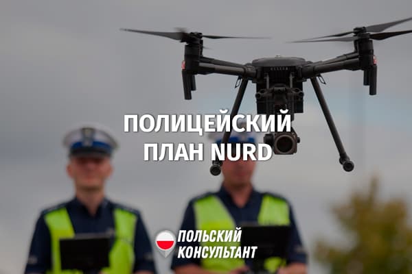 План NURD: полиция Польши объявила охоту за нарушителями ПДД по всей стране 102