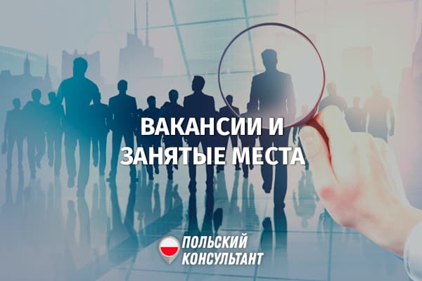 Рабочие места и вакансии: отчет GUS Польши за II квартал 2022 года 11