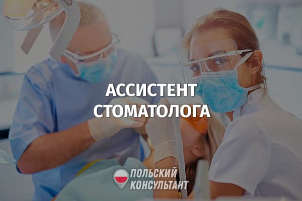 Работа ассистентом стоматолога в Польше: обучение, обязанности и зарплата 89