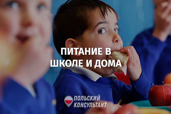 Питание в школе и дома: продуктовая помощь детям и взрослым в Польше 18