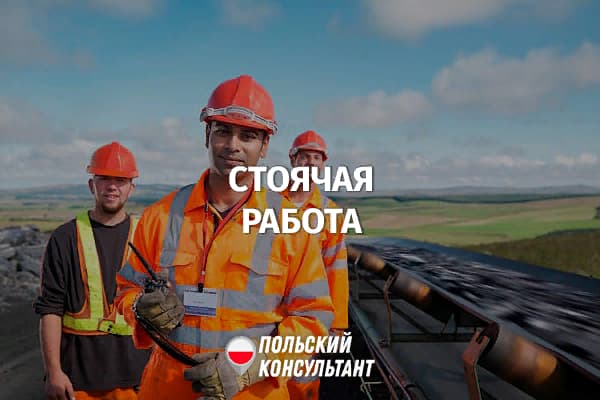 Стоячая работа в Польше: обязанности работодателя 41