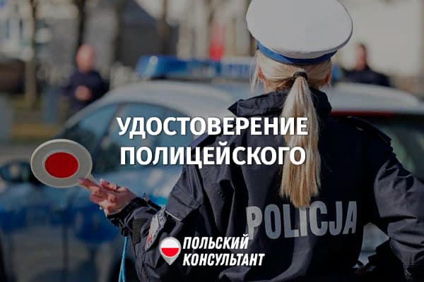 Как выглядит и что содержит удостоверение полицейского в Польше? 1