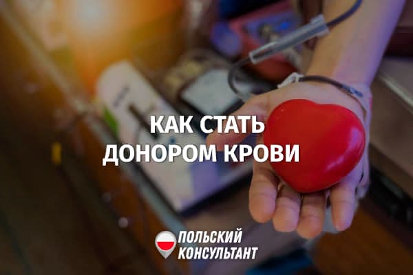 Кто может стать донором крови в Польше и сколько на этом зарабатывают? 16