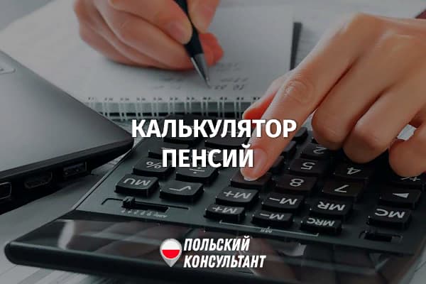 Как использовать калькулятор пенсий от ZUS в Польше? 15