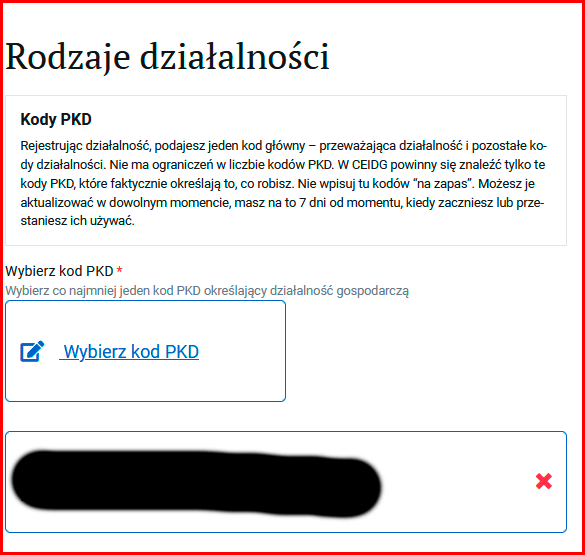 Как зарегистрировать ИП в Польше через biznes.gov.pl? 15