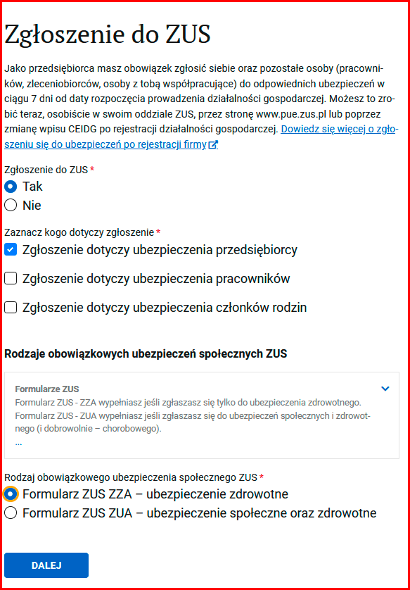 Как зарегистрировать ИП в Польше через biznes.gov.pl? 21