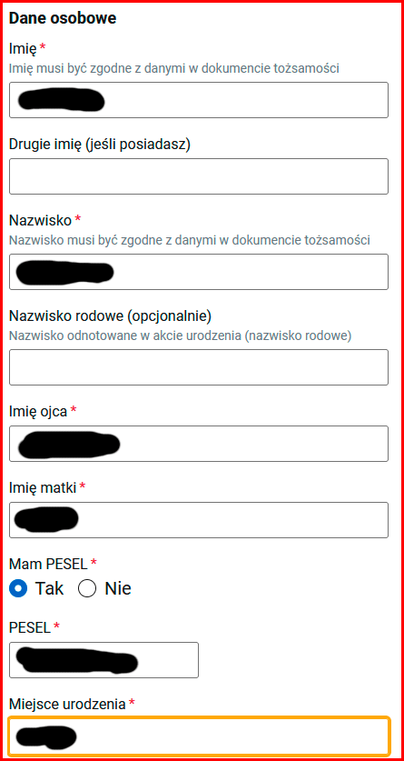 Как зарегистрировать ИП в Польше через biznes.gov.pl? 6