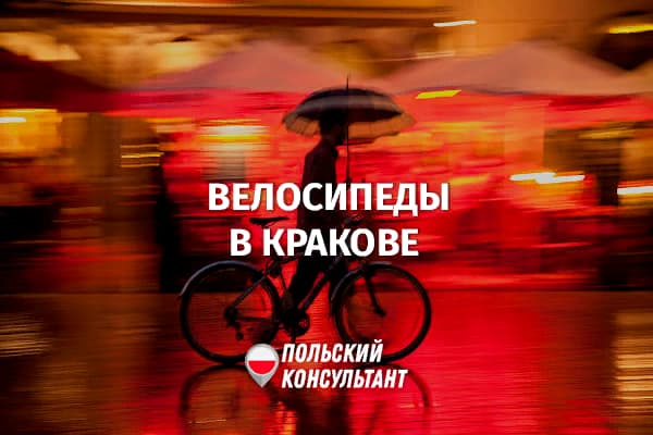 Прокат велосипедов в Кракове