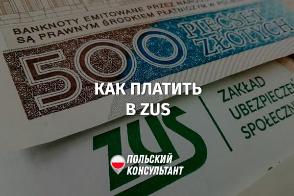 Как ИП в Польше платят в ZUS?