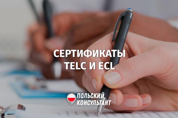 TELC-сертификаты подтверждения польского языка