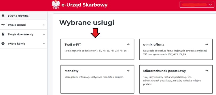 Налоговая в Польше готовит декларации для предпринимателей в системе Twoj e-PIT 1