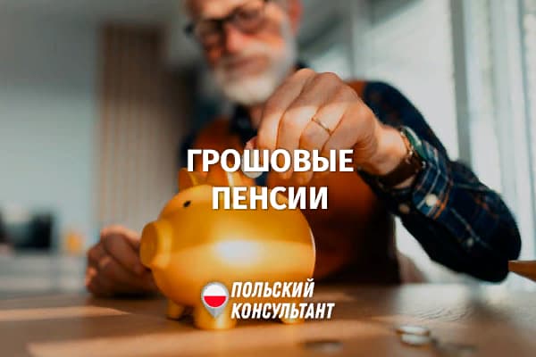 Борьба с грошовыми пенсиями в Польше