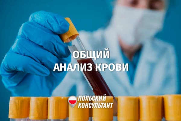 Сколько стоит и как называется общий анализ крови в Польше? 8