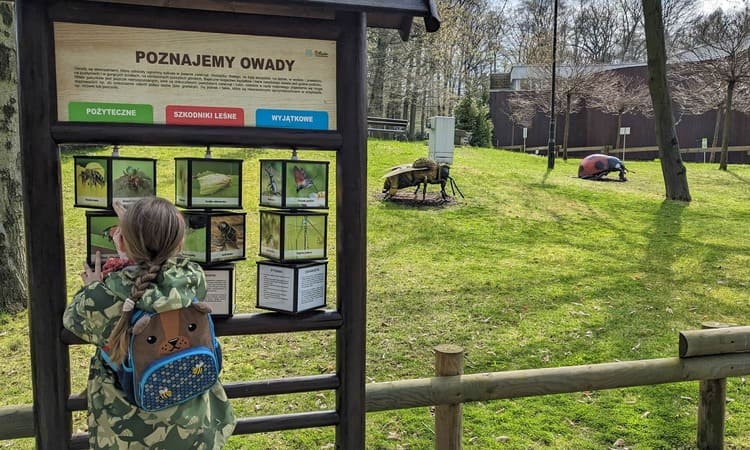 Чем примечателен Зоопарк Кракова? 4
